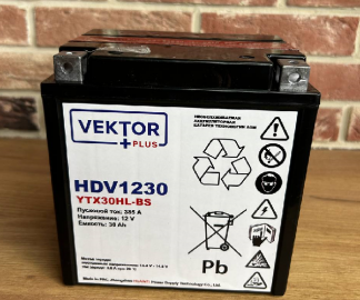 Аккумуляторная батарея VEKTOR PLUS HDV 1230