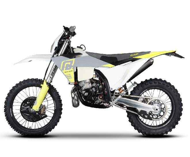 Мотоцикл Regulmoto NIBBI TE N300-SR 2T (Белый/Серый)
