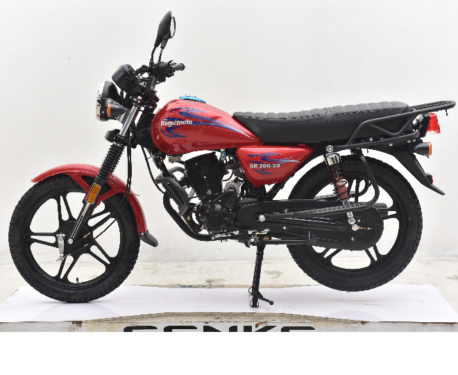 Мотоцикл Regulmoto SK 200-20 (черный)