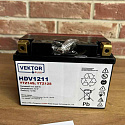 Аккумуляторная батарея VEKTOR PLUS HDV 1211