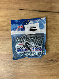 Шипы Regulmoto PRO Series Н25 c карбид-фольфрамовым сердечником (дл.резьбы 15,5мм) компл. 100шт