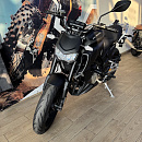 Мотоцикл Regulmoto ALIEN MONSTER 300 (Черный)