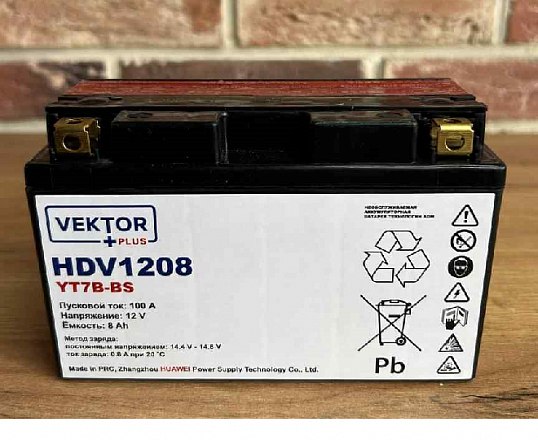 Аккумуляторная батарея VEKTOR PLUS HDV 1208