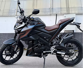 Мотоцикл PROMAX MT300