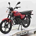 Мотоцикл Regulmoto SK 200-20 (черный)