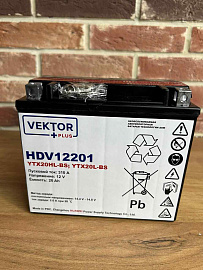 Аккумуляторная батарея VEKTOR PLUS HDV 12201