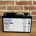Аккумуляторная батарея VEKTOR PLUS HDV 1209