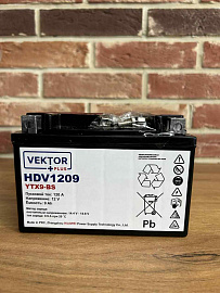 Аккумуляторная батарея VEKTOR PLUS HDV 1209